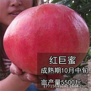 �t���۟o�Ѻ�ʯ�����ʯ���ϱ��ļ��Nֲ�̨������ʯ��䮔��Y��