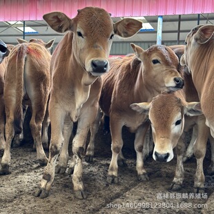 ���������Sţ ���������Sţ���w ���ʸ��������Sţ�r��