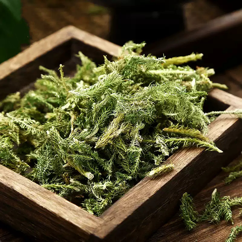 Dried Shen Jin Cao 伸筋草 Lycopodium Herb 500g Natural Sun Dried Sichuan Origin for Decoction and Foot Soak specifications