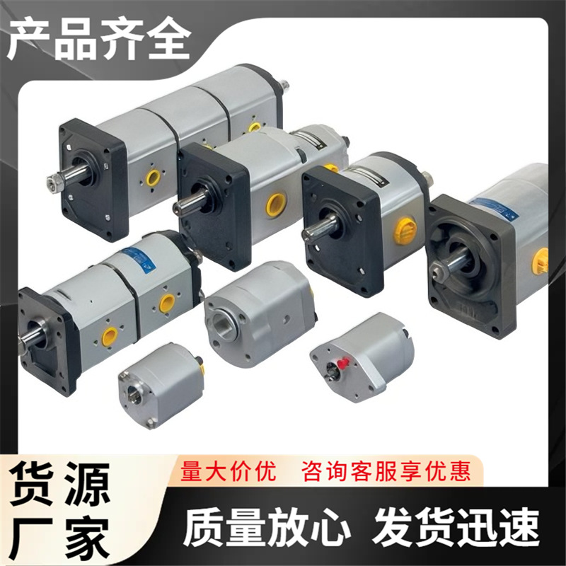 T3-31L-RO5C07-SM09M05 液压泵  Jihostroj型齿轮泵