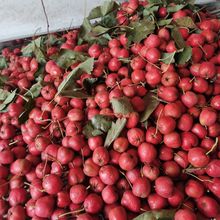 ˮ��ɽ��Ǻ��J���Ҽtɽ��tСɽ���̩��ɽ����l