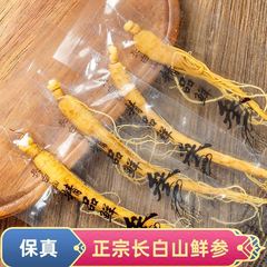 長白山特選生高麗人参 袋詰め鮮度保持高麗人参 東北吉林省特産 特大ワイン漬け 小鍋 yn