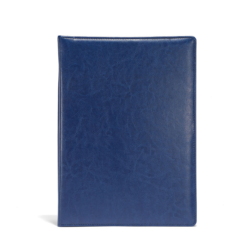 사용자 정의 일치없이 D 블루