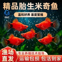 ̥���~�������~С�~���^�p�~�Ꭷ�~С�͵�ˮ���B��ȸ�~�����~