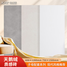 ��ɽ�ɴu800X800ͨ�w����ʯ��ĸ�������ɴu�l���g�N�����u