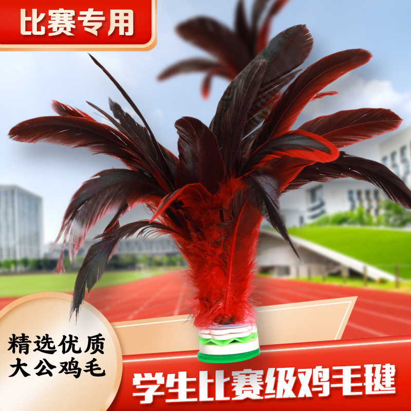 毽子儿童小学生运动专用成人大鸡毛耐踢腱子羽毛毽球比赛跃动键子