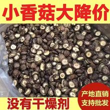 【新货】小香菇干货古田农家肉厚无根干香菇新货蘑菇批发虫草代发
