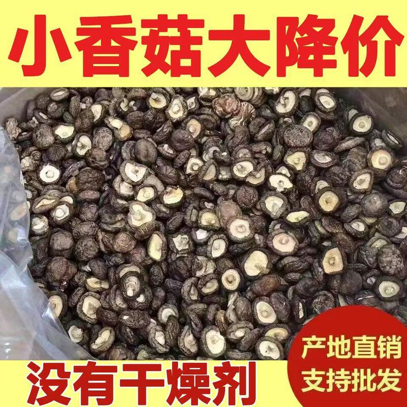 [New Arrival] Dried Small Shiitake Mushrooms Gutian Farmhouse Thick Meat Rootless Dried Shiitake Mushrooms New Arrival Mushrooms Wholesale Cordyceps Delivery