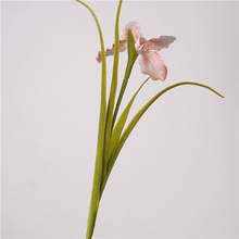 ��Ʒ�|�z�~�m�Sβ�����滨ֲ��廨 �����m�Sβ�Wʽ �b[���ٻ�