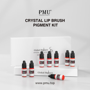 PMU tattoo pigment lip color milk set box eyebrows semi-permanent pigment easy to color tattoo factory wholesale in stock