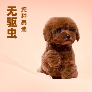 ���N̩����Ȯ���w�L����豭Ȯ̩��Ȯ���̻�����B̩��С��