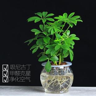 ���~ɏ������ؔ�҃���ֲؔ�����_ľ����ȩ�����՚����\���ܷ�