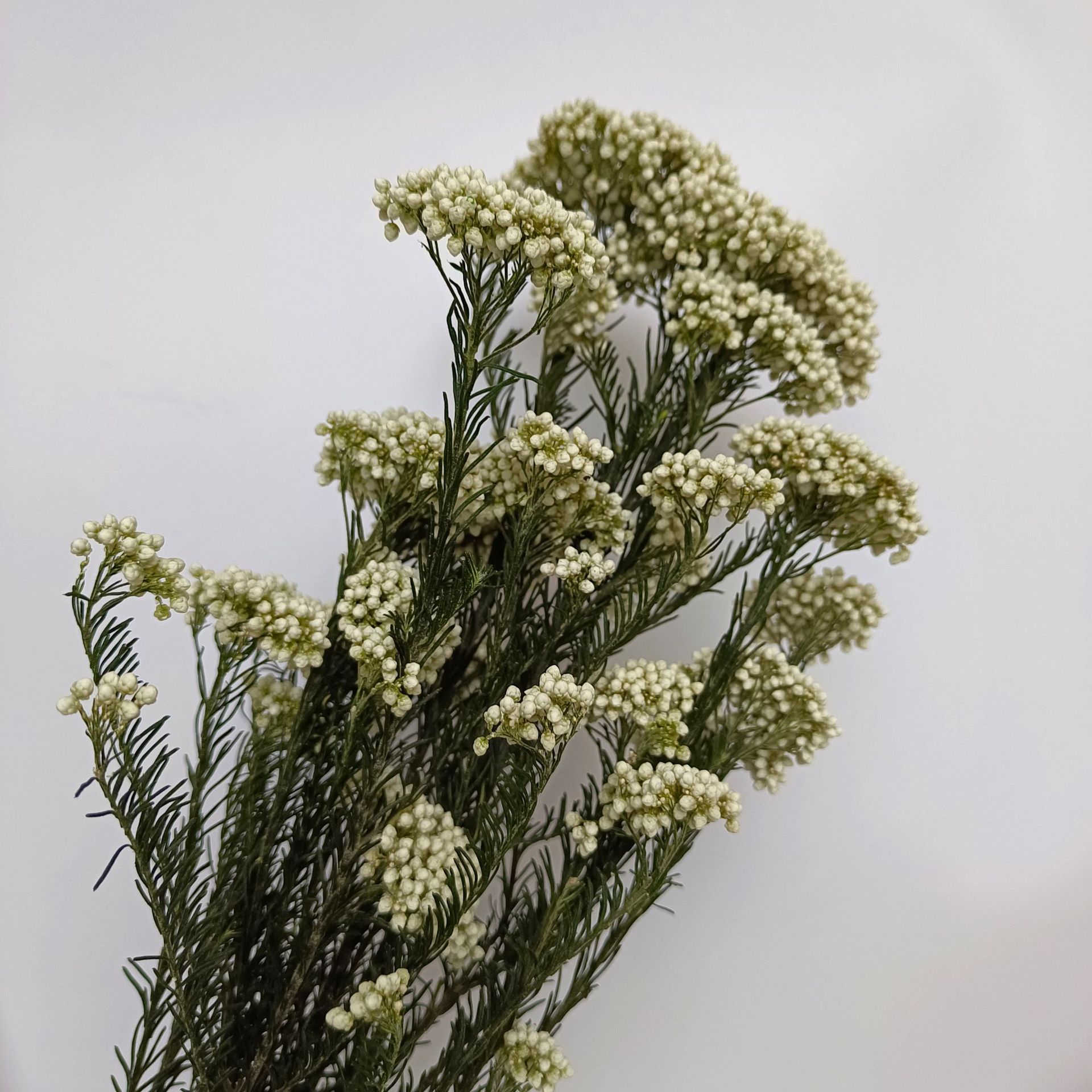 16aff71604f9d6fe64ada1f0ab92db