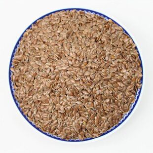 ��ș�ā����с����Ӂ����ʺ����Ӻ����Ѻ�����