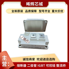 普通晶闸管;IGBT模块;其他二极管