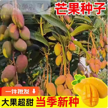 â���N�ӿ�����â���N�ѽ��â�t�F��ͥԺ�̨�����߲�ˮ���N��