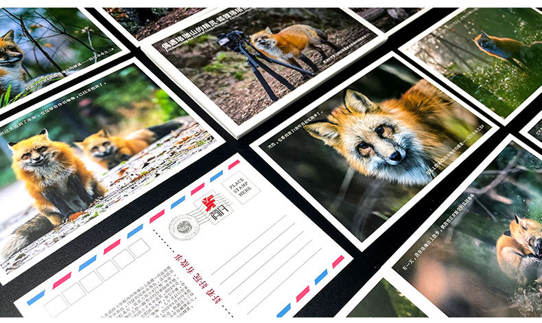 毕业季和文创明信片新_03