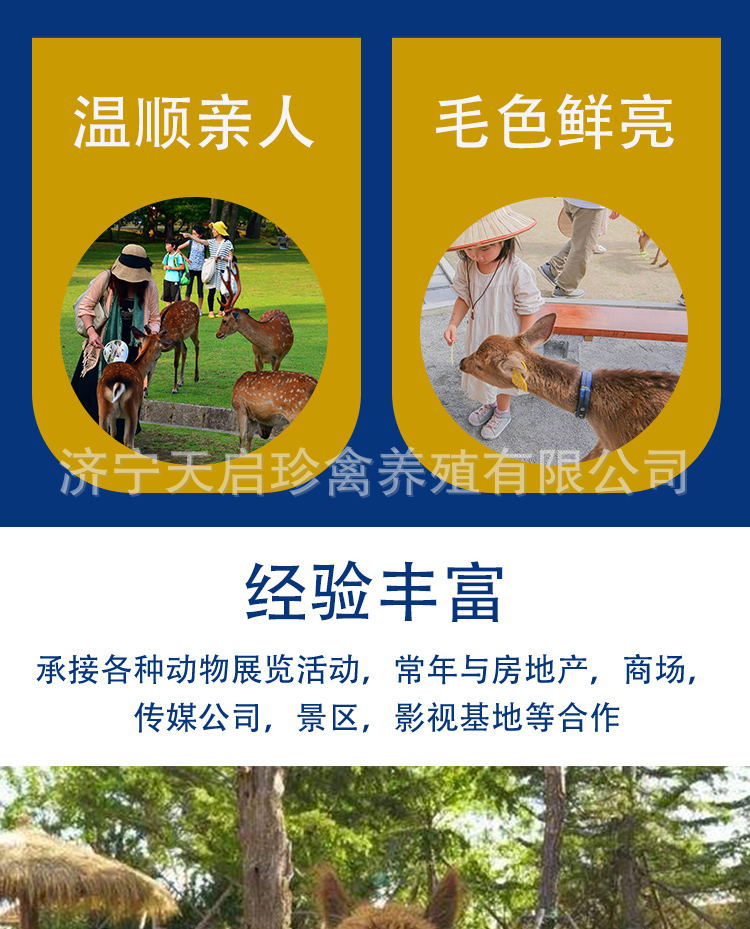 6bc63aaa96021d32a5de22a15ede70