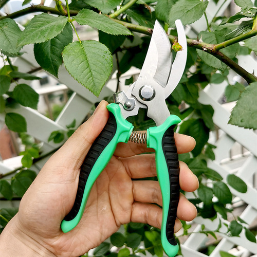 Multi-purpose pruning shears for gardening, landscaping, and orchards—ideal for trimming branches, cutting fruit-bearing twigs, and neatly shaping potted plants or harvesting fruits from the garden.