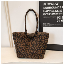 ����Ů���¿����ذ����y����yӡ���������μ������p��PUُ���Ů