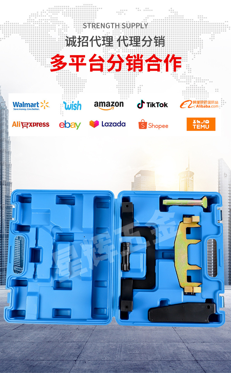 Mercedes-Benz M271 Timing Tool Chain Holder Tool Set T100 Sleeve Carbon Steel Auto Repair Tool