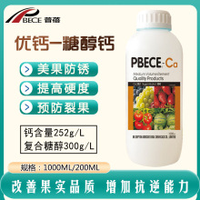 Ǵ}ƿbˮ} ~ʛ_ʩ}ʺߏSl