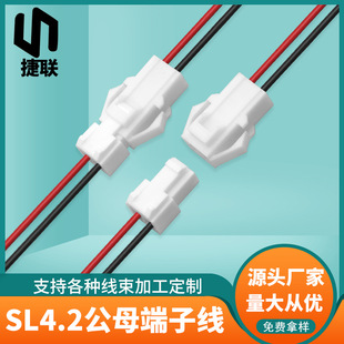 ����SL4.2��ĸ���Ӿ� �����3.96�g����Ќ��Ӿ������T�i�B�Ӿ�2P