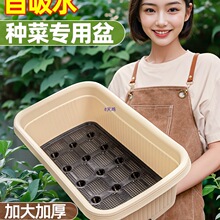 �N��������ˮ�����̨�N����Ӵ�Ӻ��L���������߲˷Nֲ����