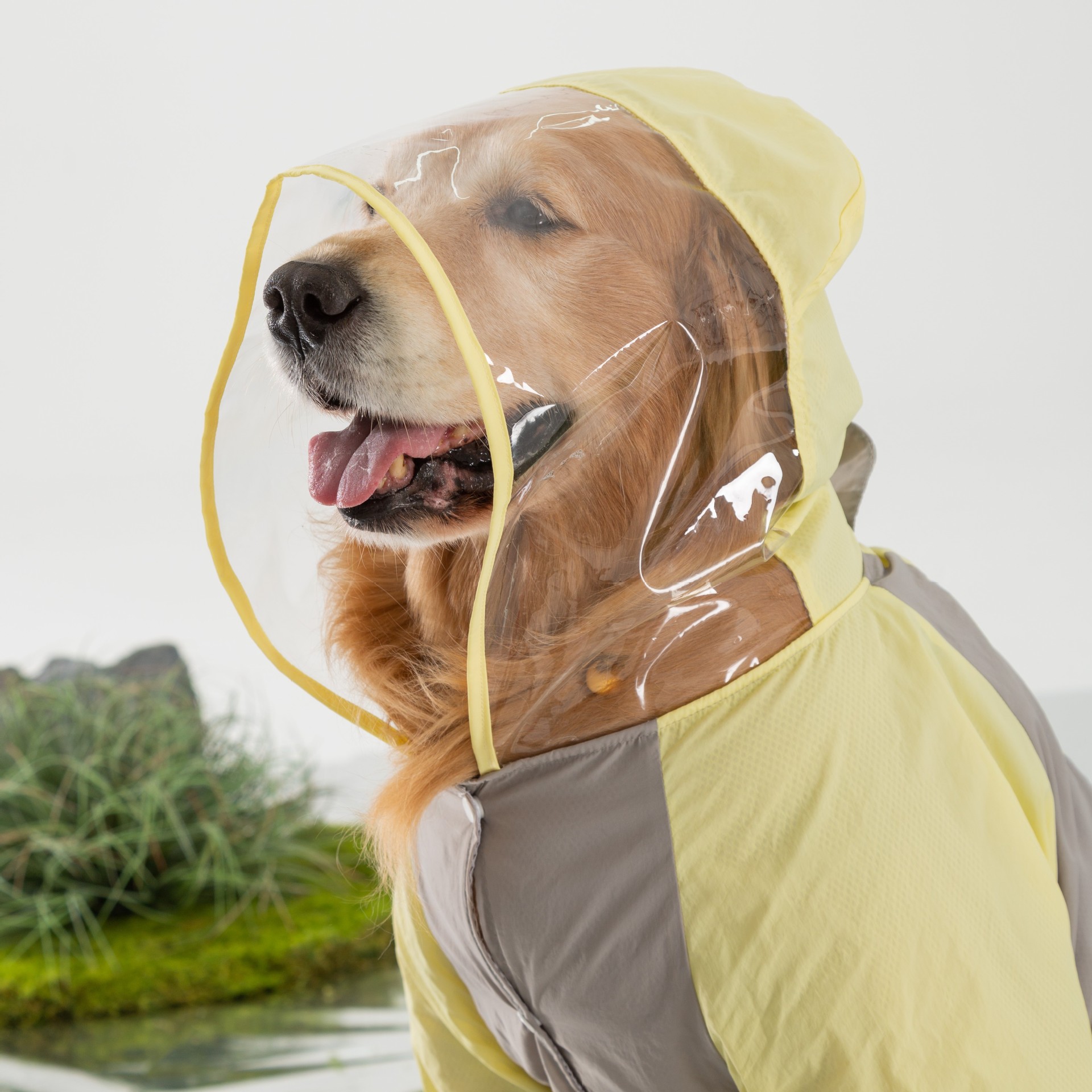 Impermeable para perros grandes, de verano, diseño simple, protección contra la lluvia para viajes al aire libre, ropa para perros Labrador.