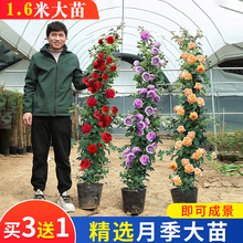 �����¼������Nޱ���ļ��_���ش��ٱ���������õ������ͥԺֲ��