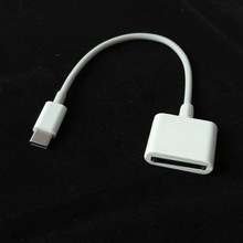 TYPE C �D 30pinĸ�����L���D�Ӿ��m���iPod/iPhone 3/4 iPad 12