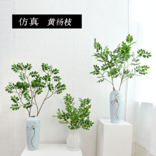 �����S���~�����~�͸��~�٘��~ �ҾӘӰ��g�b廨����Ĕz����