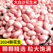 生花生米商用批发价白沙红皮花生米生本地高产花生种籽子油炸水煮