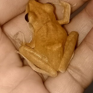 �Ϸ�����ɐۃ���Ʒ�N����С�����˹���ֳ���`���ܐ��������