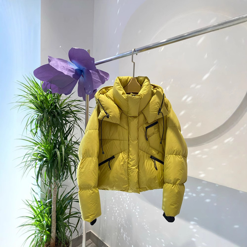 2025 Autumn and Winter down Jacket Popular Casual Versatile Warm Coat High Fashion for Petite Women