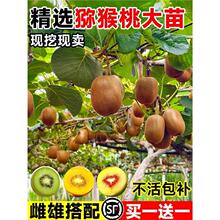 ���ګJ���Ҙ����t��ܛ���޽Ӵ���ͬ���ͺ��ش��ϱ��NֲͥԺ����