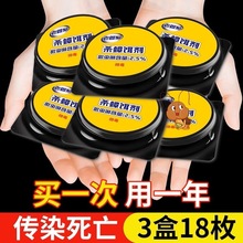 杀蟑饵剂蟑螂药家用厨房灭蟑药家用出租房强效除小强灭蟑螂神器