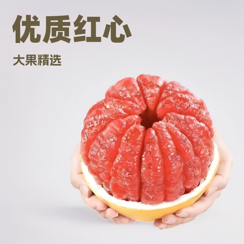 【商超品质】平和琯溪红心柚大果10斤当季新鲜时令果柚子产地直发