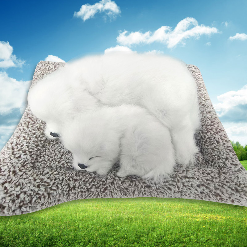 adornos de automóviles