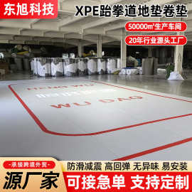 体操舞蹈瑜伽拼接垫高密度武术拳击训练地垫儿童乐园防滑运动垫