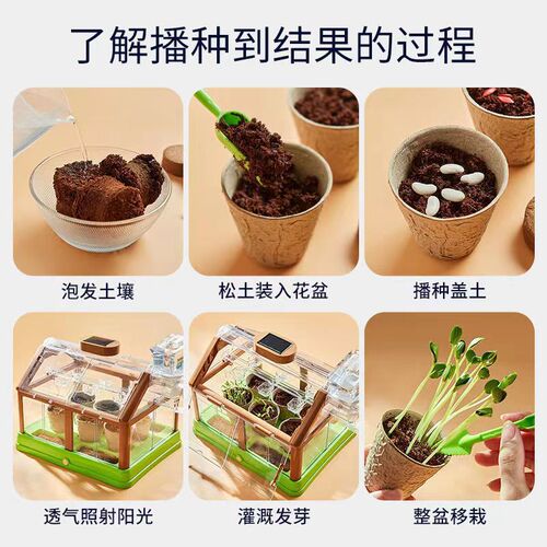 Hottest Selling Children's Planting Sunroom Vegetable Growing Plant Observation Science Experiment Toy Set Student Teaching Aid