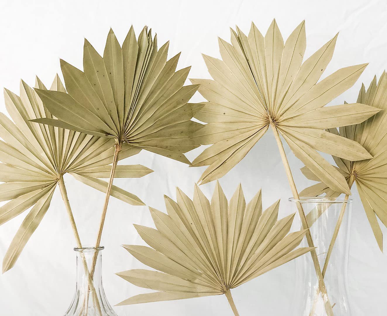 Small fan leaf fan blades