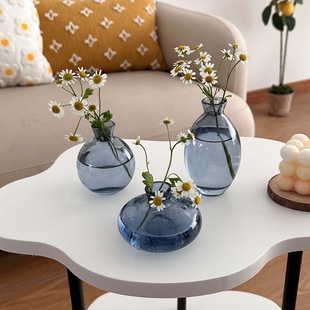 ins French Style Retro Cyber Celebrity Glass Table Mini Small Vase High-grade Hydroponic Green Planting Flower Arrange Desktop Ornaments