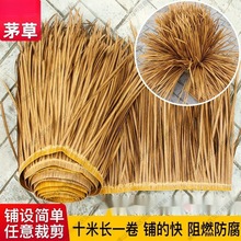 ����ȼ��������X�Ͻ����쵾��é�������b�ë�ݷ�������߼�