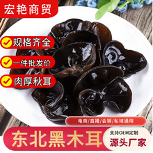 �|����ľ�����خa�������o����ľ���L��ɽ��Ұ��ʳƷɢ�b���l