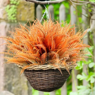 Cross-border Amazon Artificial Persian Grass Seahorse Grass Plant Green Plant Wall Decoration Flower Green Leaf Autum Fern