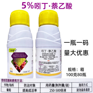 5%�Ŷ�������Ǥ�����ᶡ�������� ���������Ŷ������� ����������