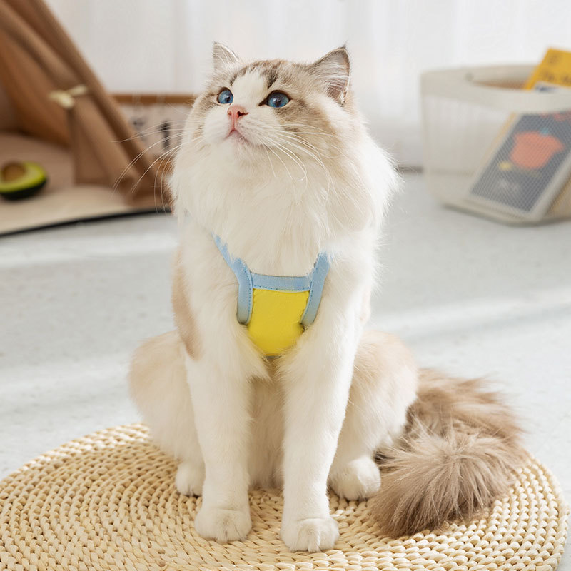 Gato primavera y verano dibujos animados contraste color lindo impreso hling perro Chaleco de dos piernas oso de peluche ropa de gato para mascotas