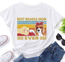 Q羳̪վRdRdBEST BEAGLE MOMӡ¿ŮT