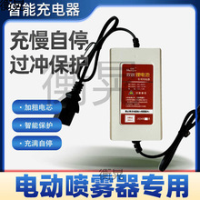 �r��12V늄Ӈ��F�������ͨ����8A12A��șͰ��ș�C�ƿ�����